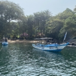 Dublin Banana Island Tour