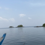 Dublin Banana Island Tour